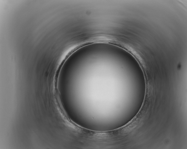 X0000090751477200707271435