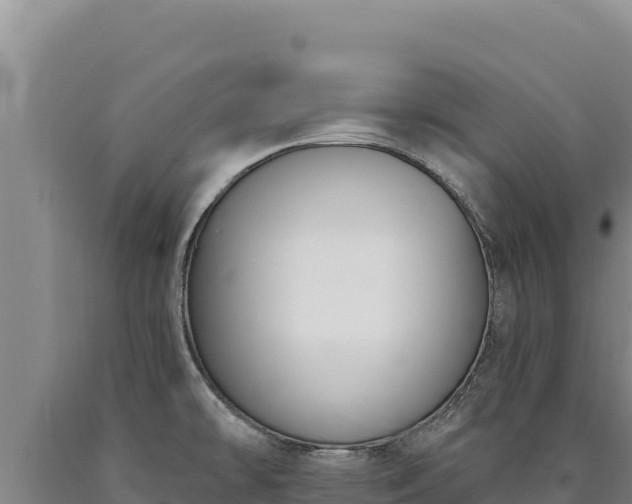 X0000090751478200707271435