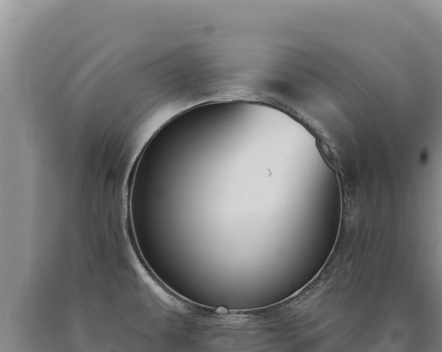 X0000090751479200707271435