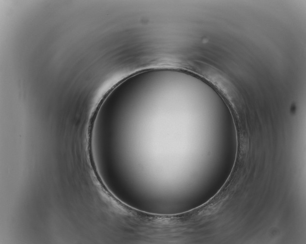 X0000090751480200707271435