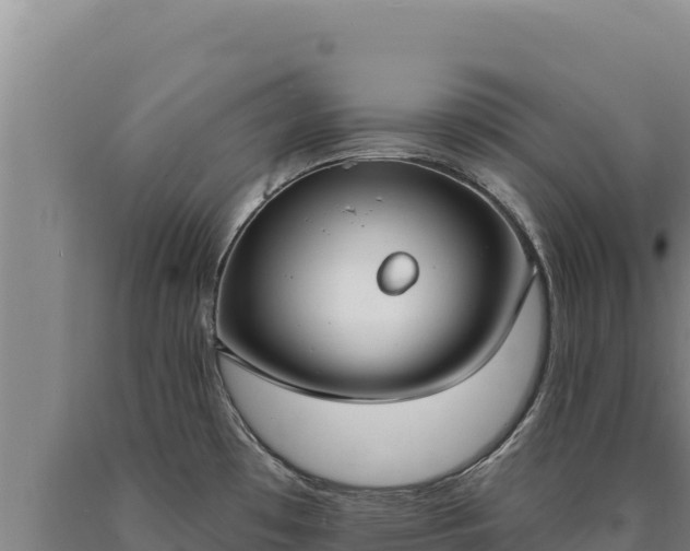 X0000090751481200707271435