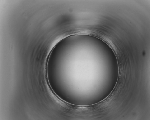 X0000090751483200707271435