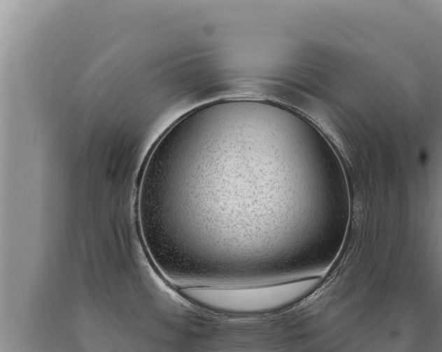 X0000090751484200707271435