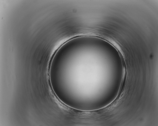 X0000090751485200707271435
