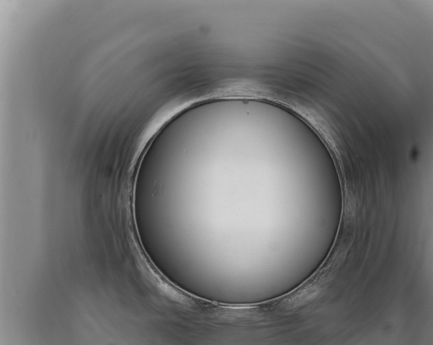 X0000090751486200707271435