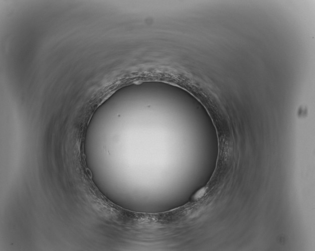 X0000090751489200707271434