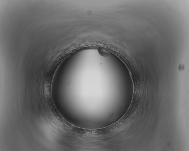 X0000090751490200707271434