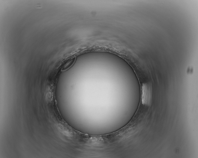 X0000090751491200707271434