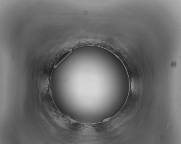 X0000090751492200707271434