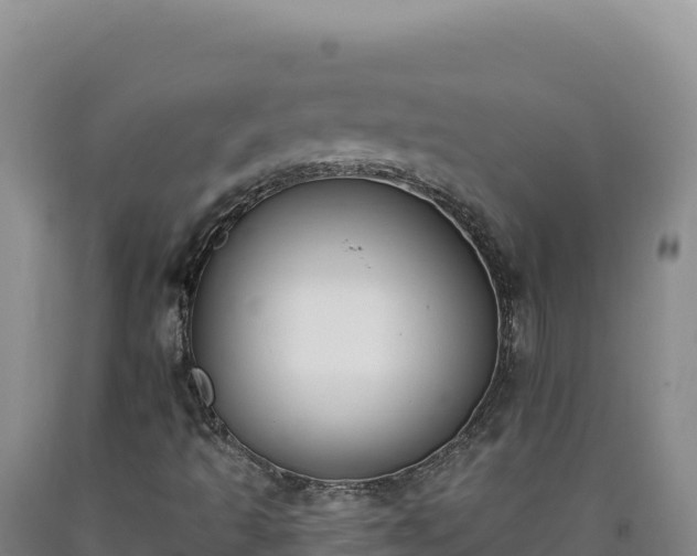 X0000090751493200707271434