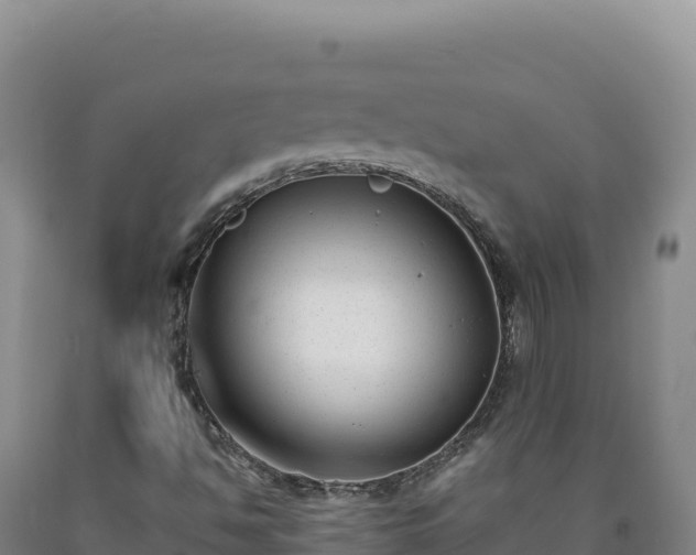 X0000090751494200707271434
