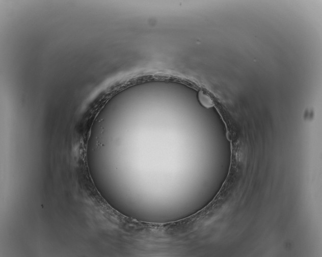 X0000090751495200707271434