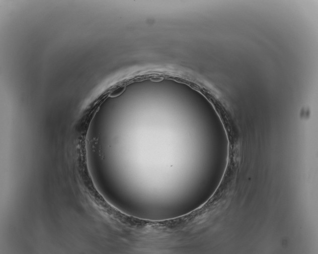 X0000090751496200707271434