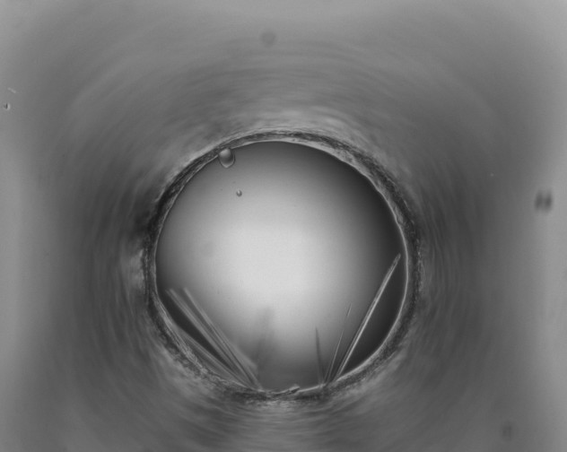 X0000090751497200707271434