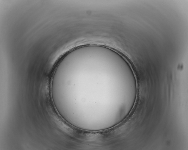 X0000090751498200707271434