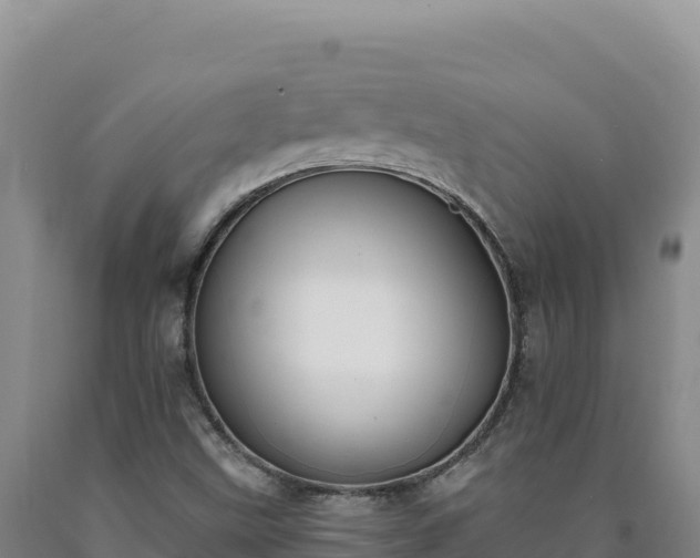 X0000090751499200707271434