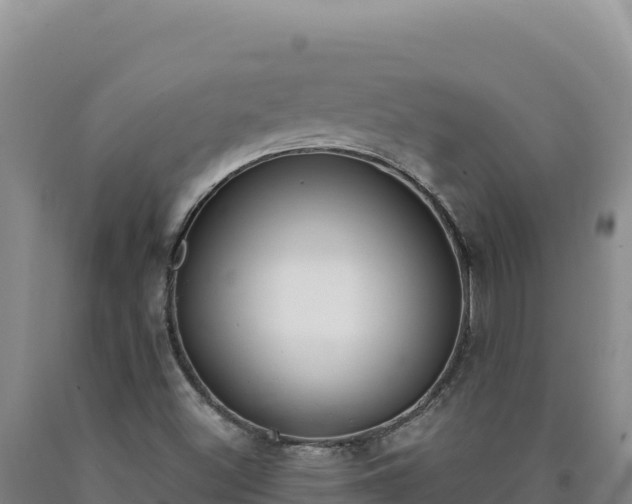 X0000090751500200707271434