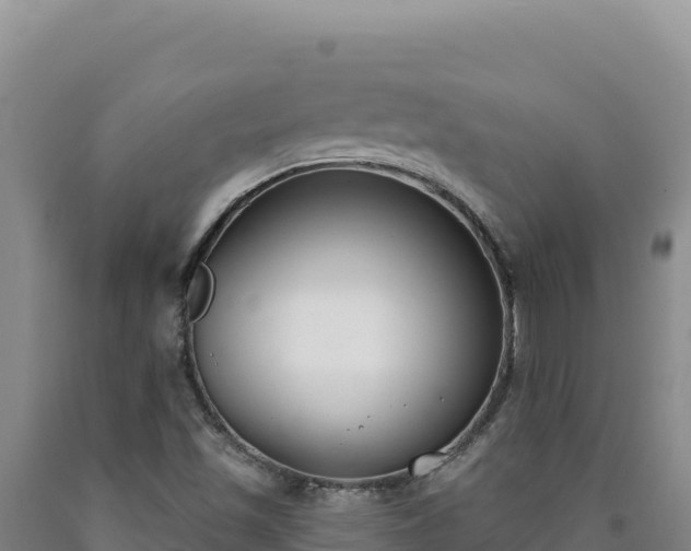 X0000090751501200707271434