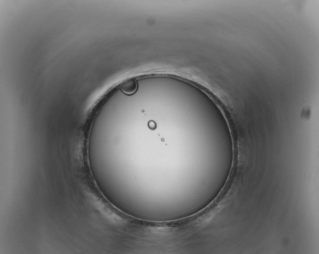 X0000090751502200707271434