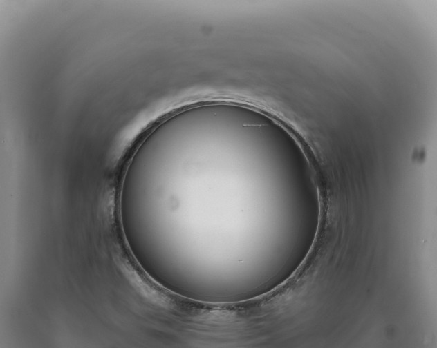 X0000090751503200707271434