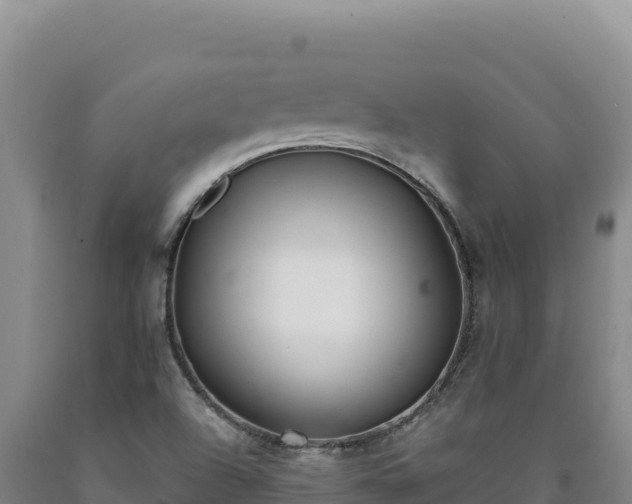 X0000090751504200707271434