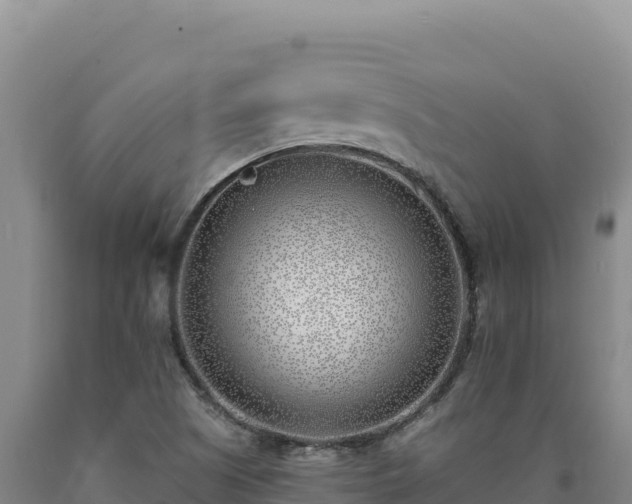 X0000090751505200707271434