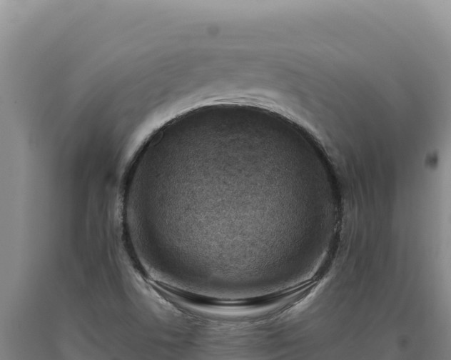 X0000090751506200707271434