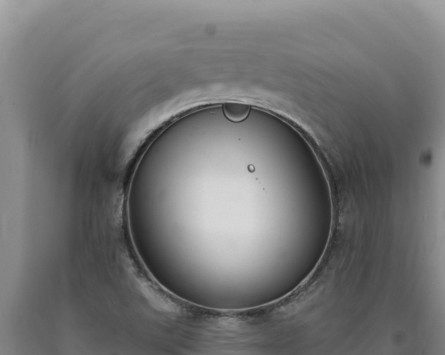 X0000090751507200707271434