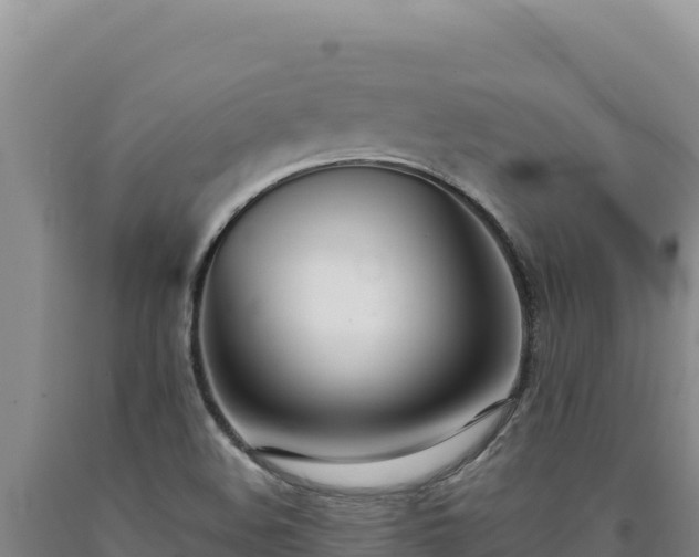 X0000090751508200707271434