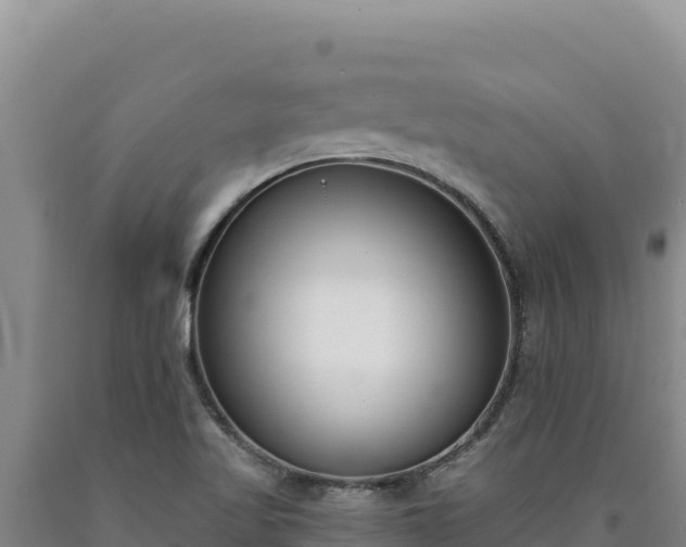 X0000090751509200707271434