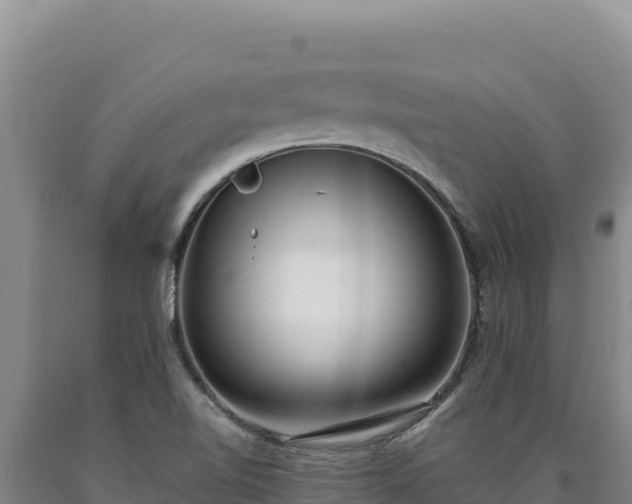 X0000090751510200707271434