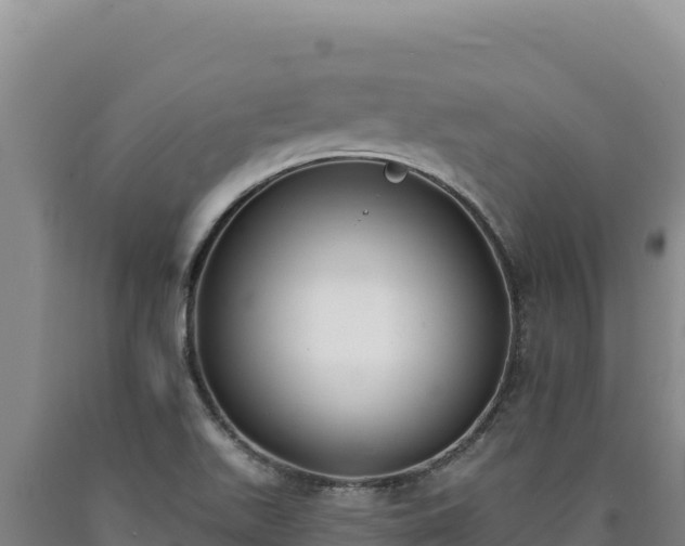 X0000090751511200707271434
