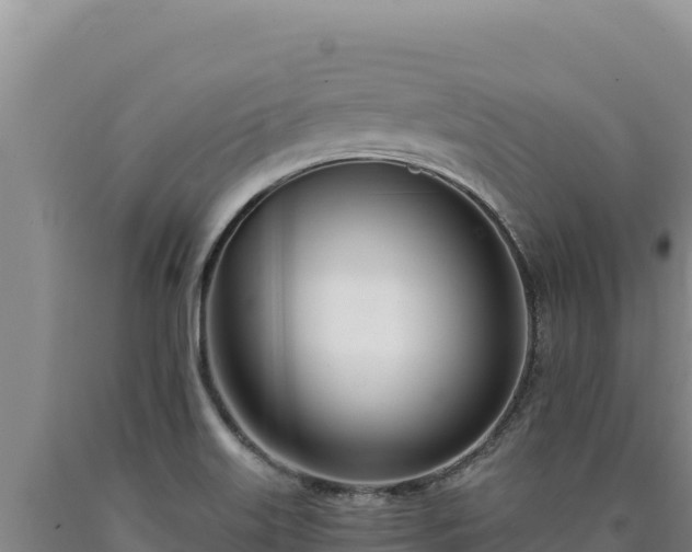 X0000090751515200707271434