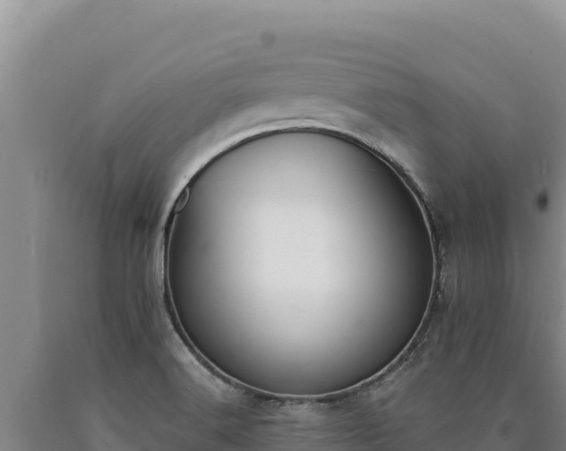 X0000090751516200707271434
