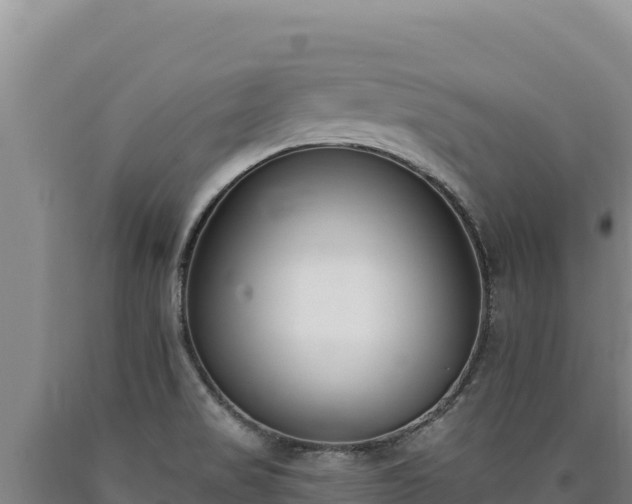 X0000090751517200707271434