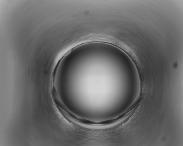 X0000090751520200707271434