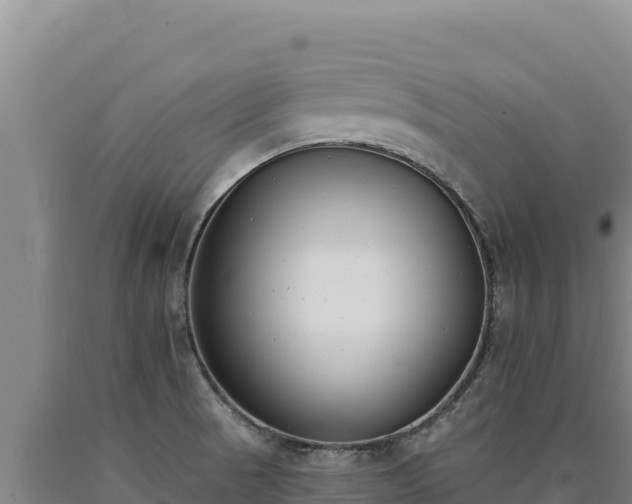 X0000090751521200707271434
