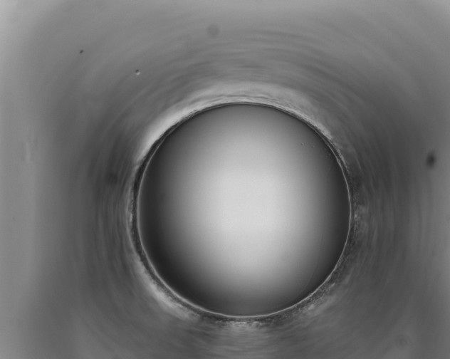 X0000090751523200707271434