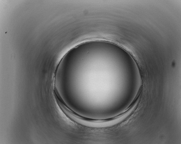 X0000090751524200707271434