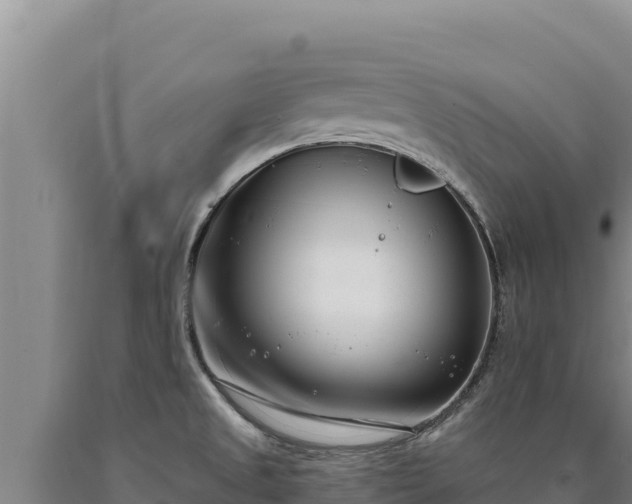 X0000090751525200707271434