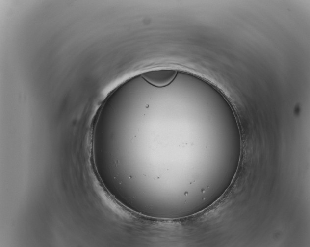 X0000090751526200707271434