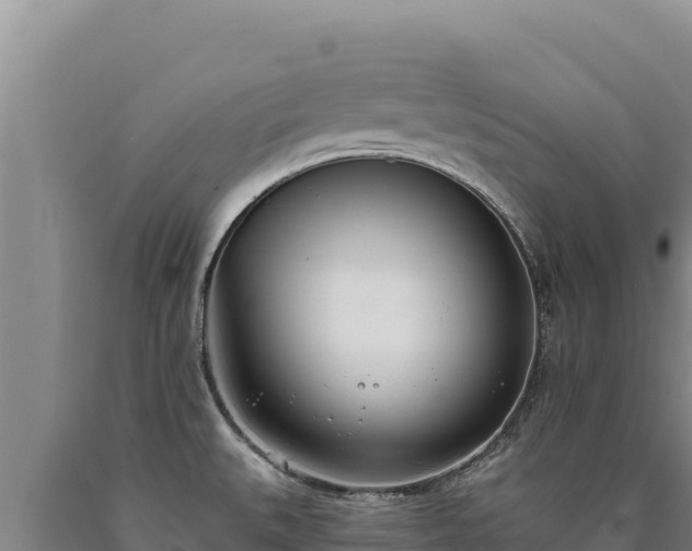 X0000090751527200707271434