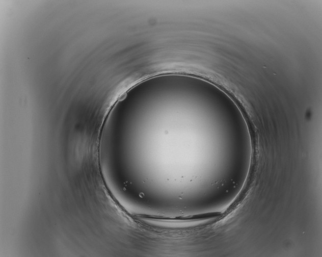 X0000090751529200707271434