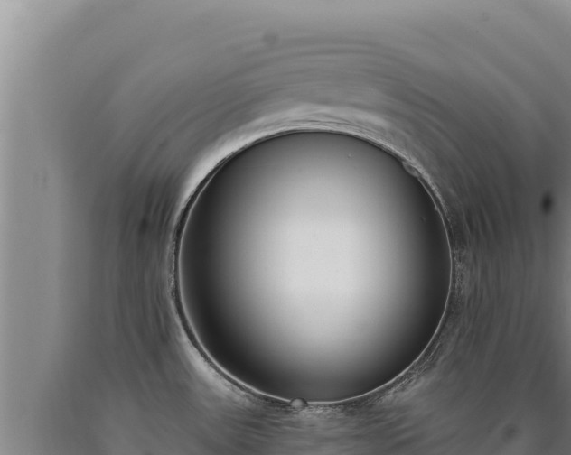 X0000090751531200707271434