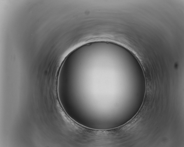 X0000090751534200707271435