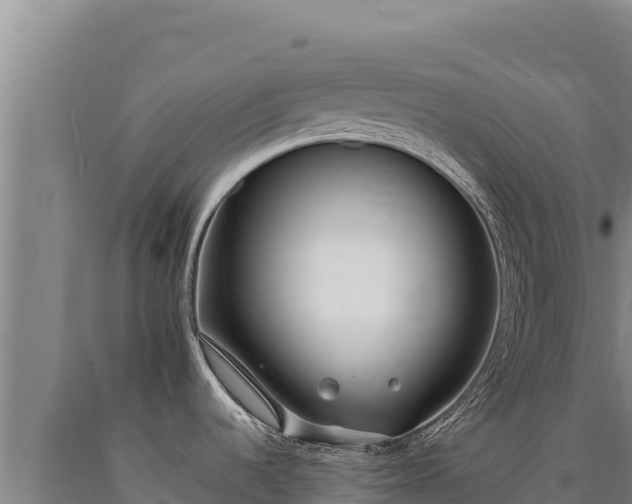 X0000090751536200707271435