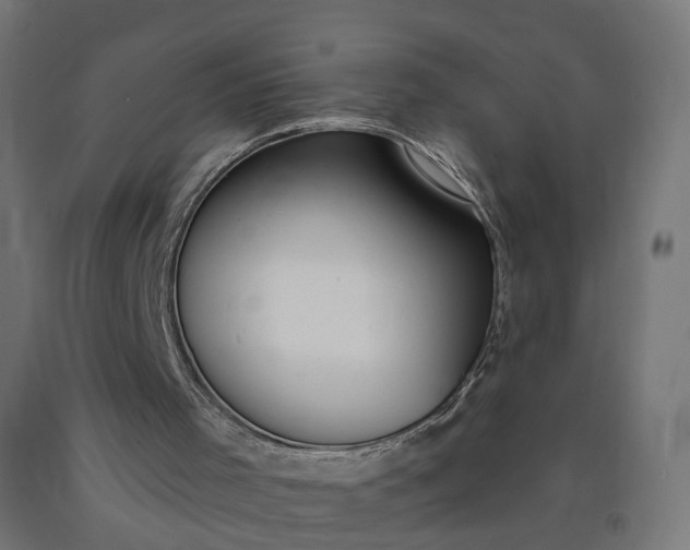 X0000090750001200708031618