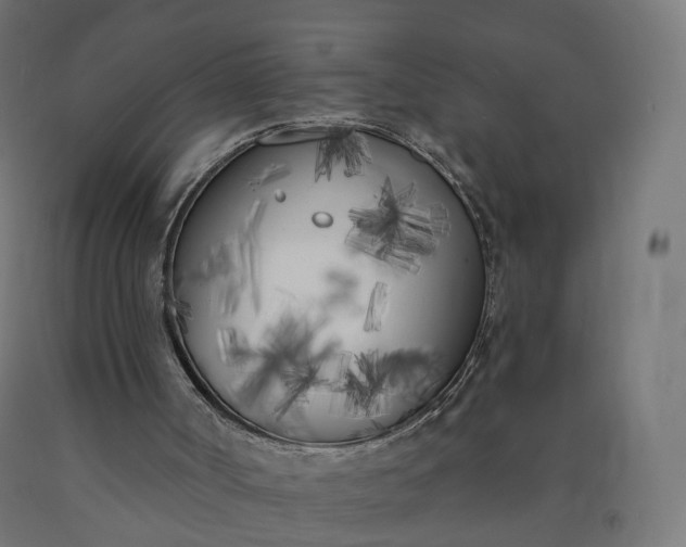 X0000090750002200708031618