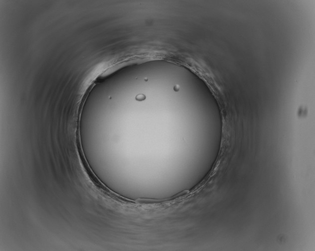 X0000090750003200708031618