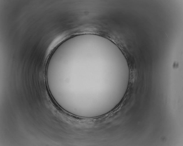 X0000090750004200708031618